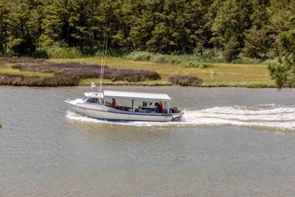 Get Outta Town! Day-Tripping on the Eastern Shore