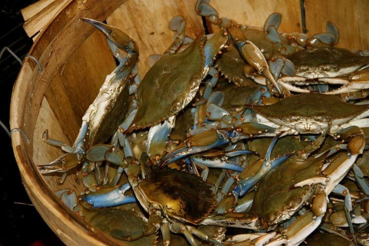Crab Stop Seafood Market