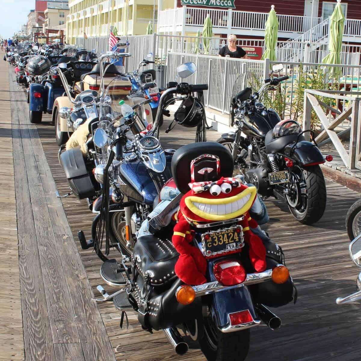 OC Bikefest