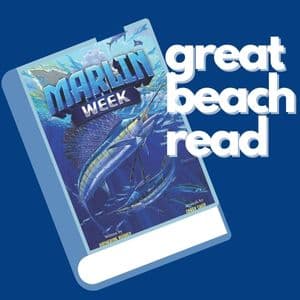 Great Beach Read - Set in Ocean City, Maryland