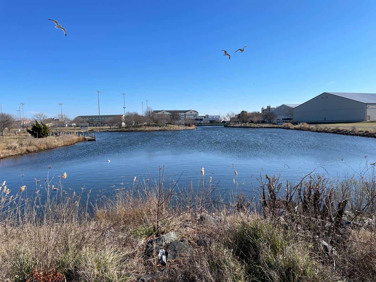 Northside Park, Ocean City Md, in the winter