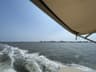 A Day on the Bay with Bayside Boat Rentals