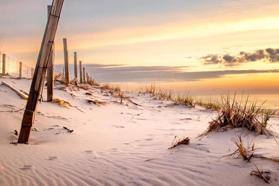 "Dunes at Sunrise" Captures the Essence of Ocean City in Winning Photo
