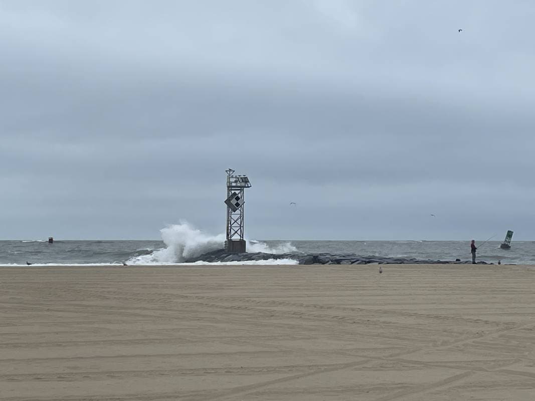 Wild Waves in Ocean City Md