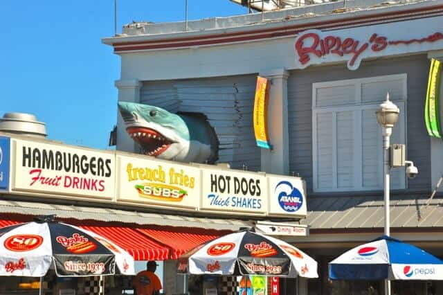 Creature Feature: Shark-infested waters?