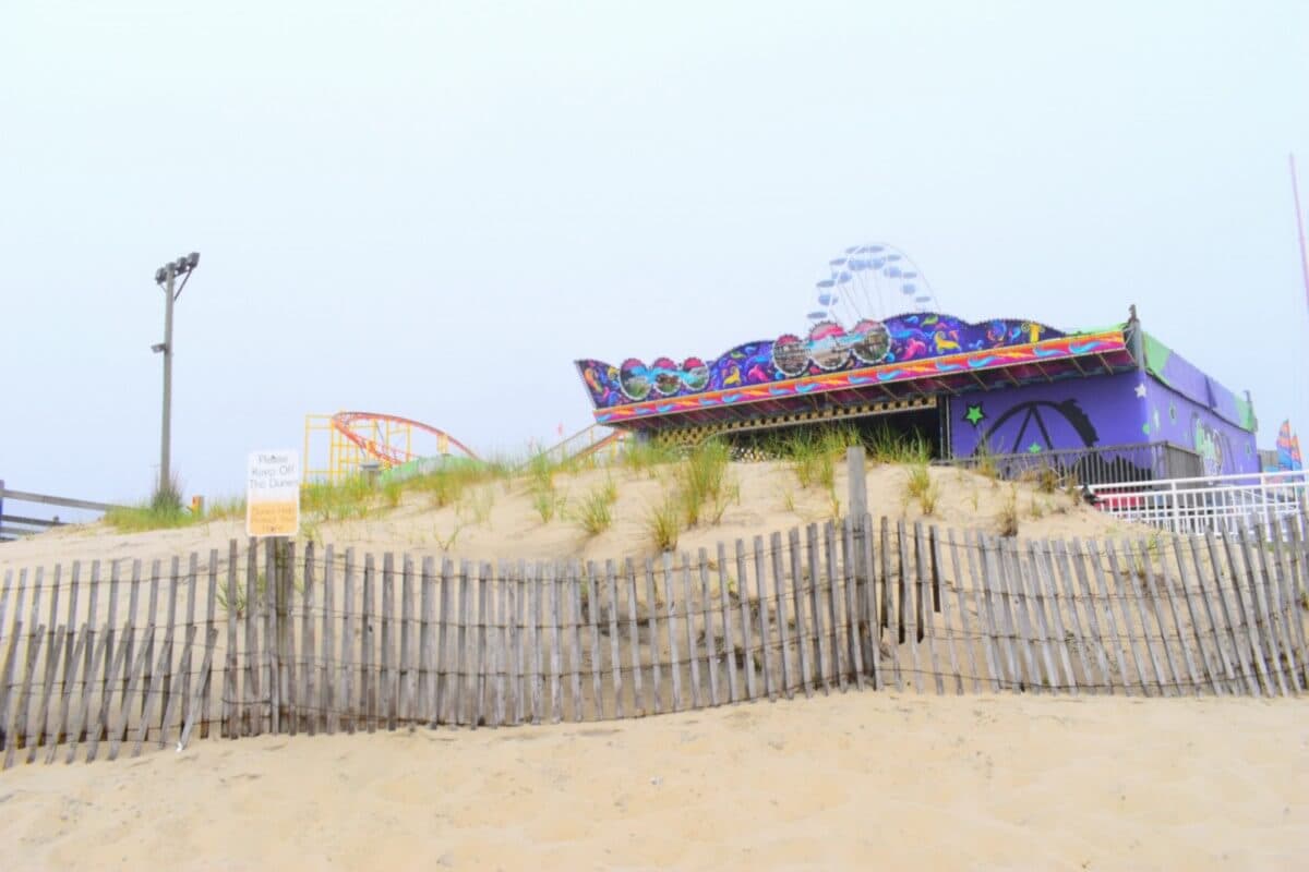 Pictures from a beach cloaked in fog