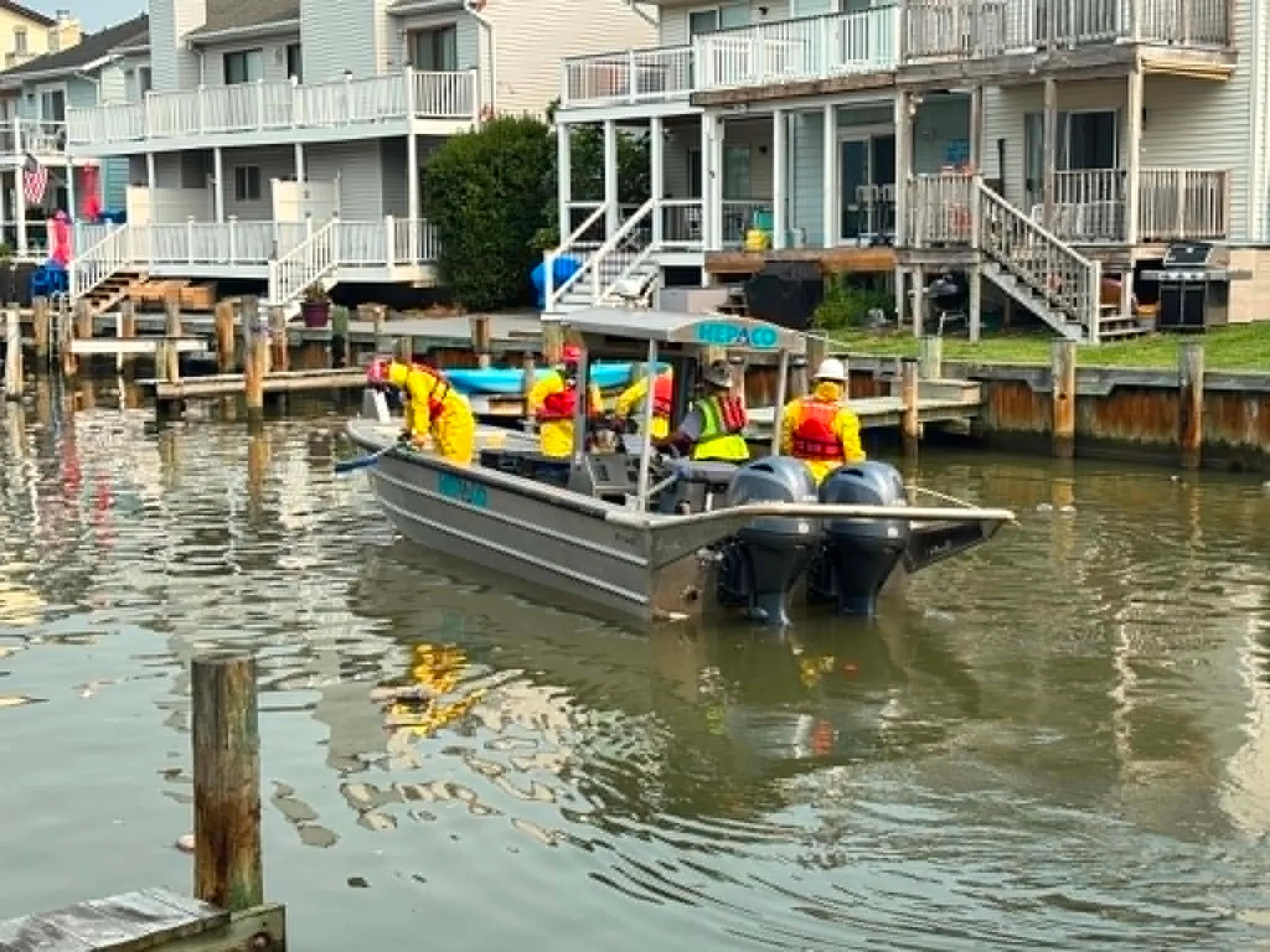 Residents' Voices Lead to Cleanup of Dead Horseshoe Crabs in Ocean City's 94th Street Canal
