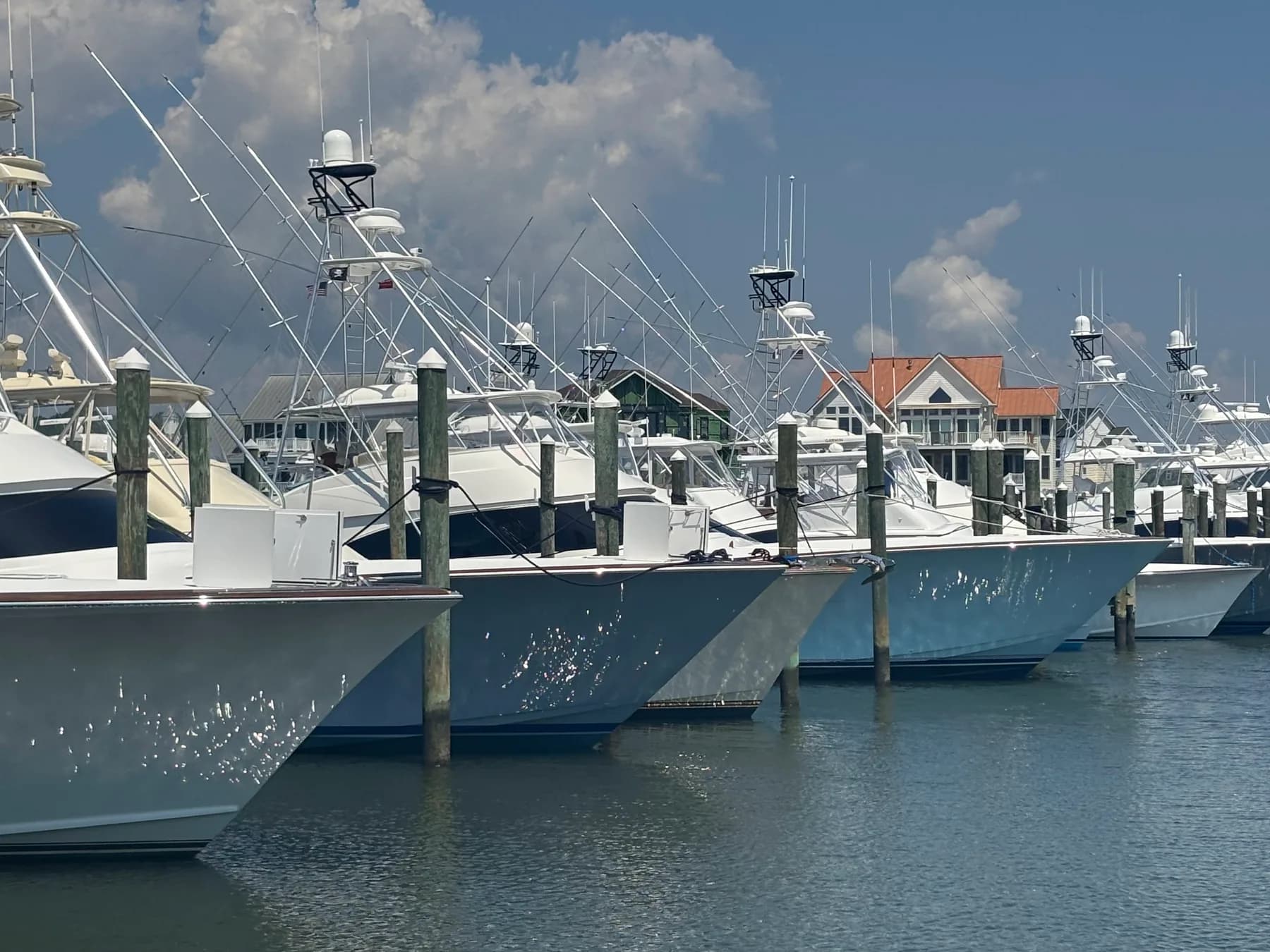 White Marlin Open 2026: The Ultimate Spectator’s Guide to Ocean City’s Biggest Fishing Week