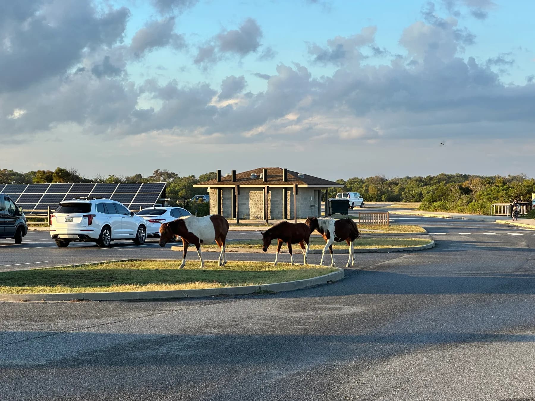 Camping in Ocean City, MD