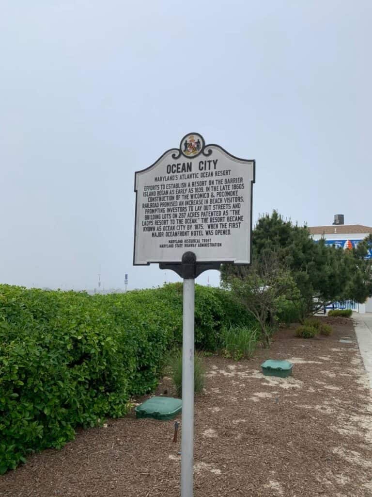 Things to do in Ocean City - RIGHT NOW
