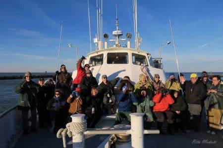 Delmarva Birding Weekend is almost here