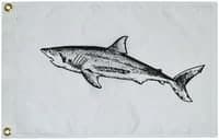 No-Fin Left to Lose: Sharks & Ocean City