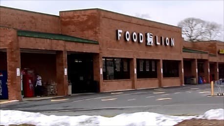 Food Lion - Berlin