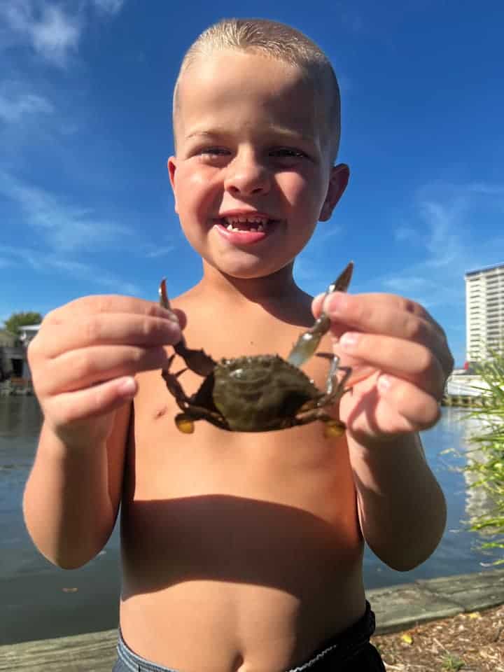 Crabbing in Ocean City: A Fun and Delicious Activity