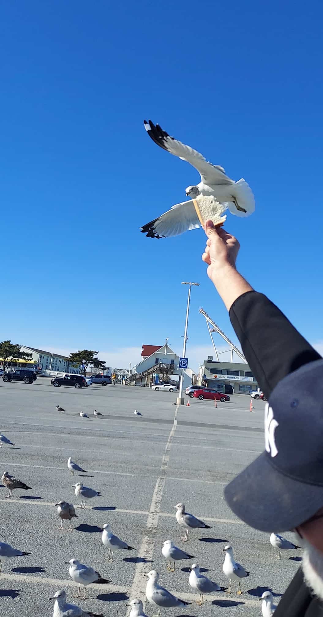 Town of Ocean City Closing the Inlet Parking Lot, 9/10-10/8