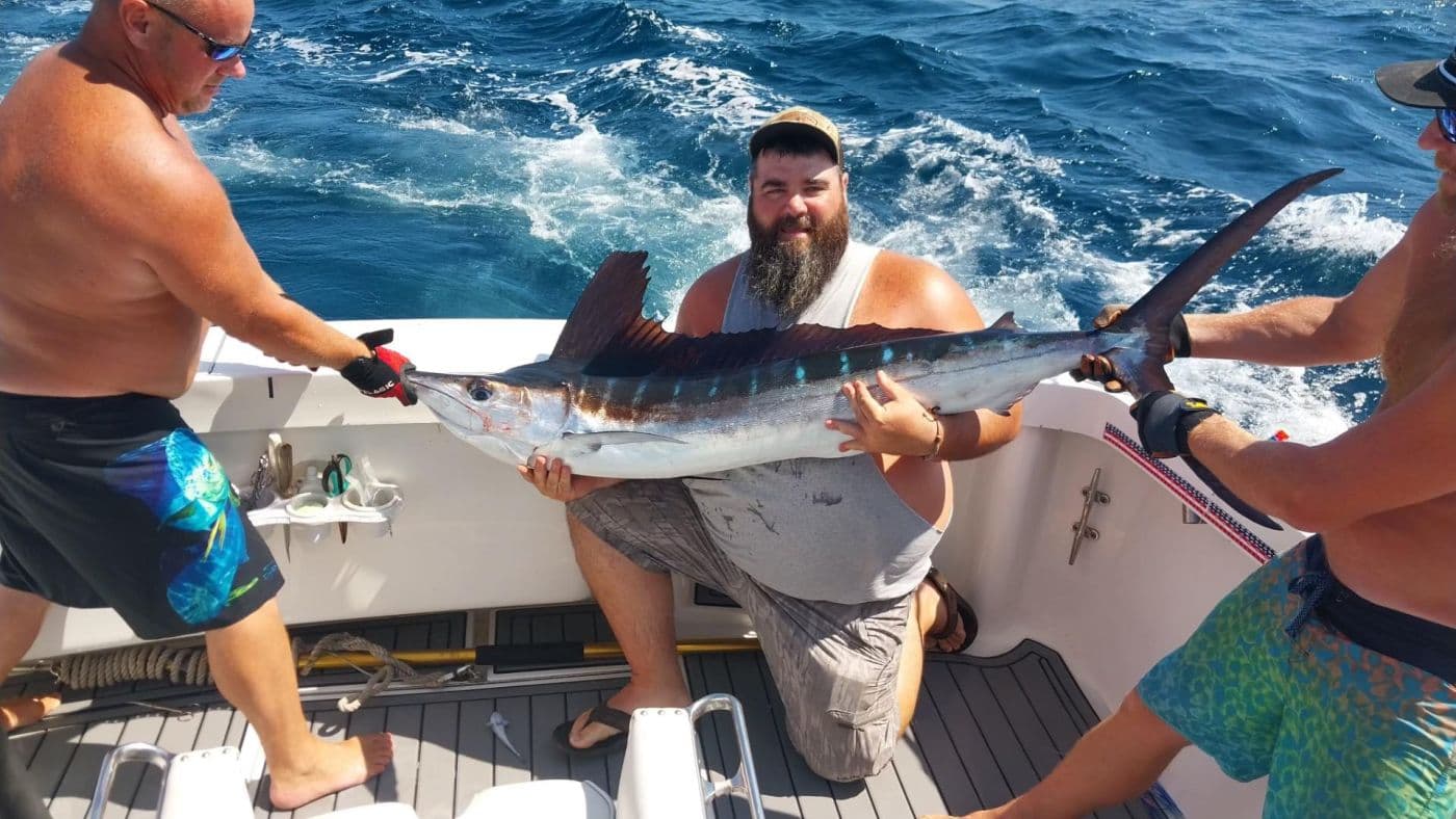 white marlin open fit it boat fishing