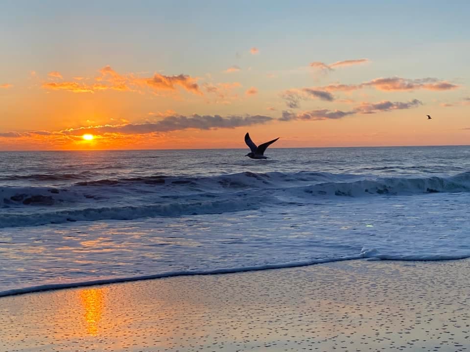 Oceanfront Hotels in Ocean City, MD