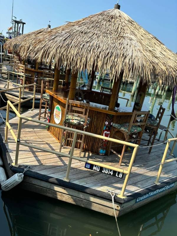 cruisin tiki boat