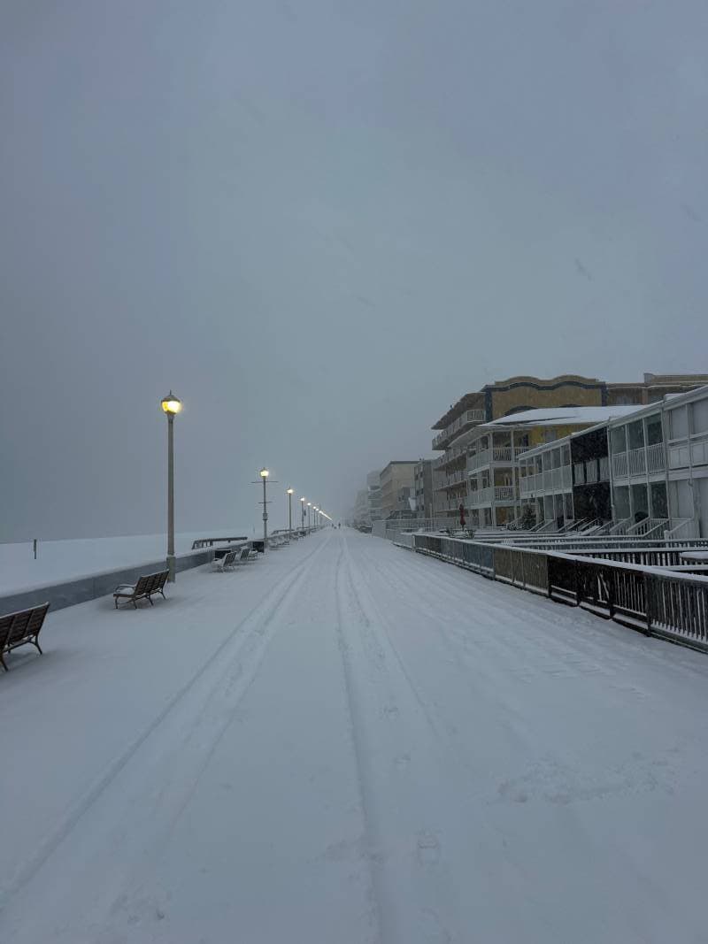 boardwalk picture