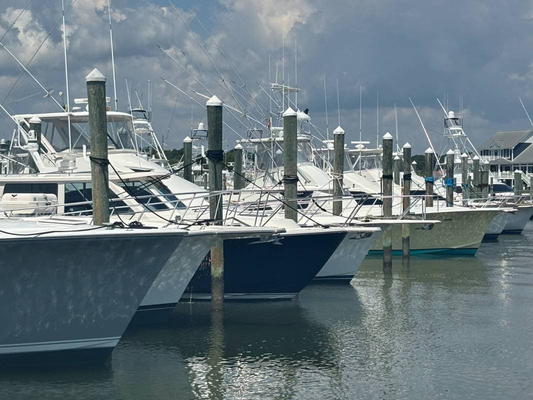 white marlin open, ocean city maryland