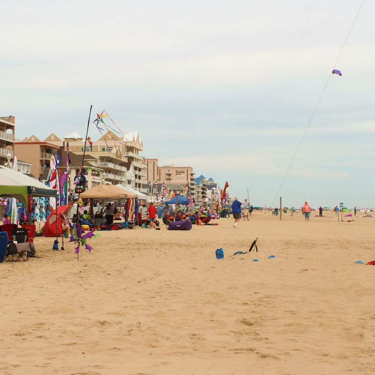 Flying high at Sunfest