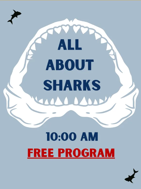 Free Summer Programs At The Ocean City Life Saving Station Museum - Thursdays